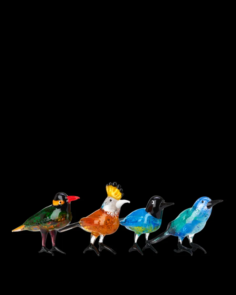 Cheap Polspotten Paradise Birds multi-colour